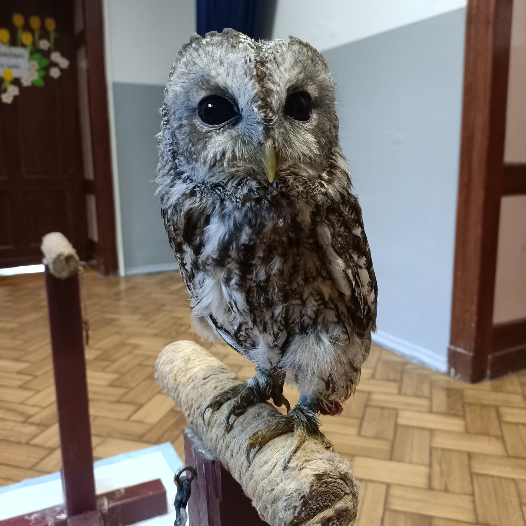 a49beb83 2adf 46d6 a648 01b533f13e59