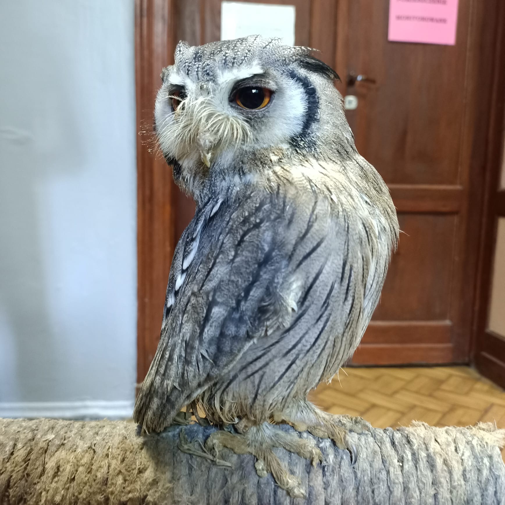 c2e31246 d844 4922 aae3 4f1c5eb3b949